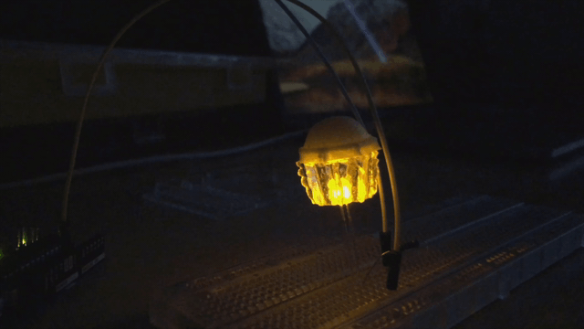 006.gif