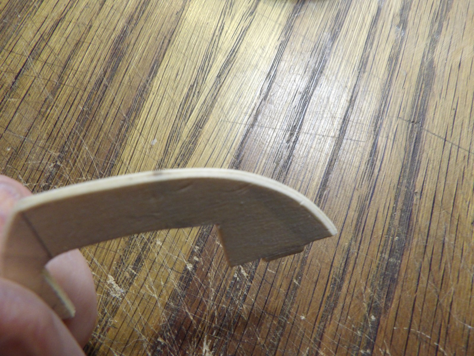 100_0810.JPG