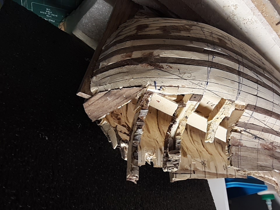 107 Fluit, Zeehaen drastic re-do.jpg