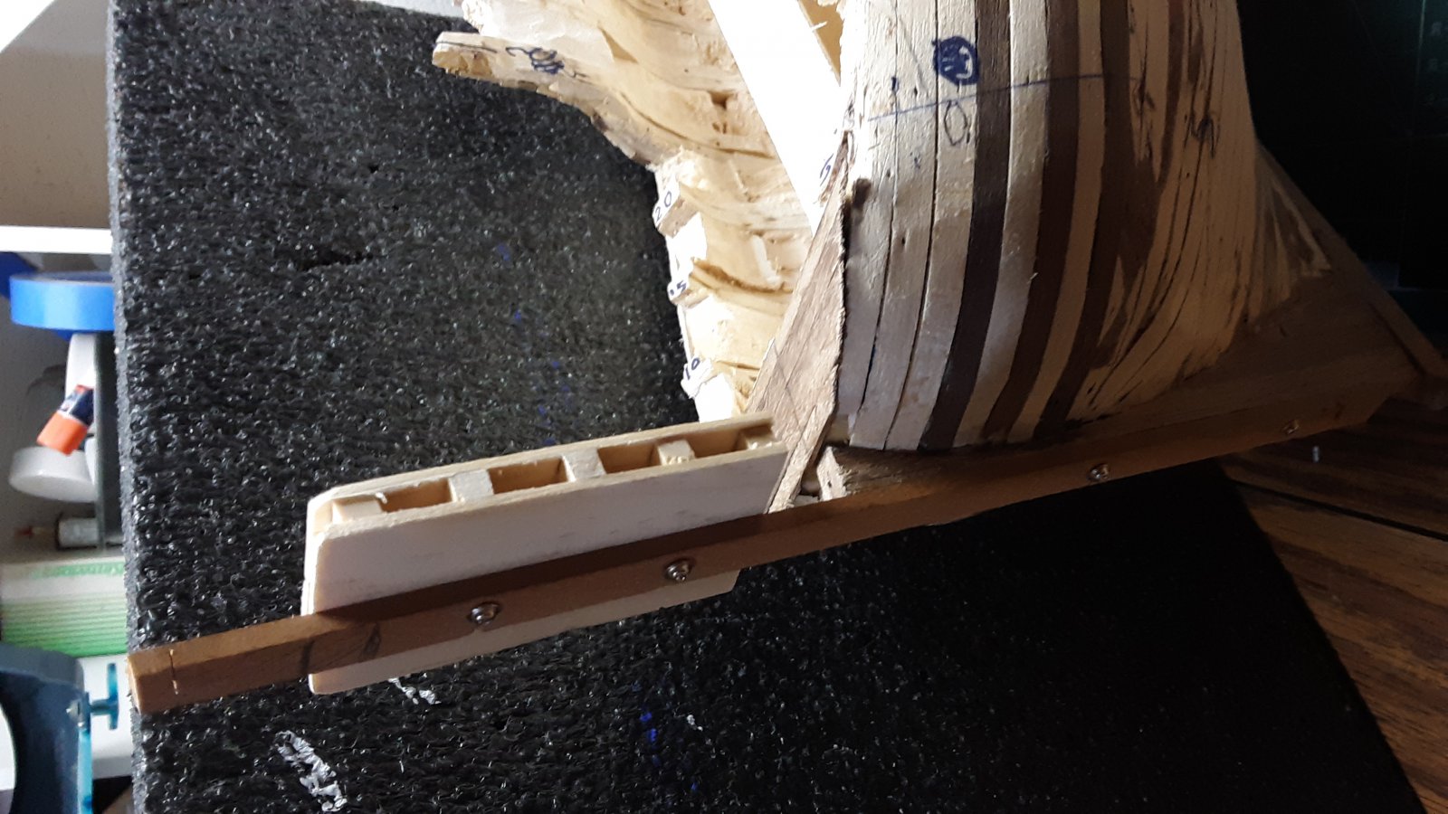 115 Fluit, Zeehaen stern re-do.jpg