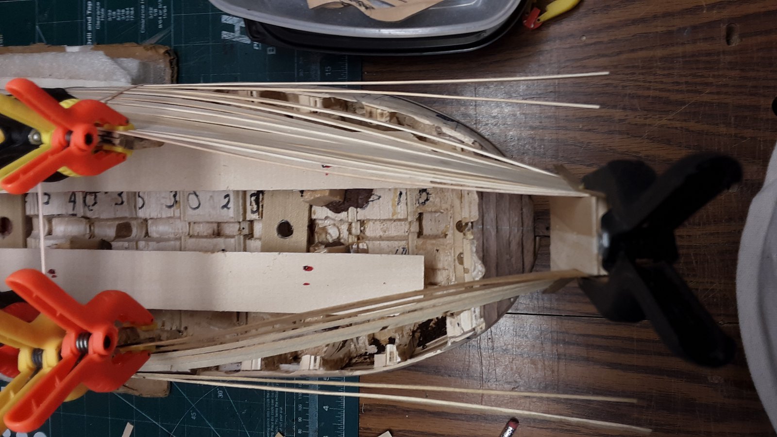118 Fluit, Zeehaen re-do.jpg