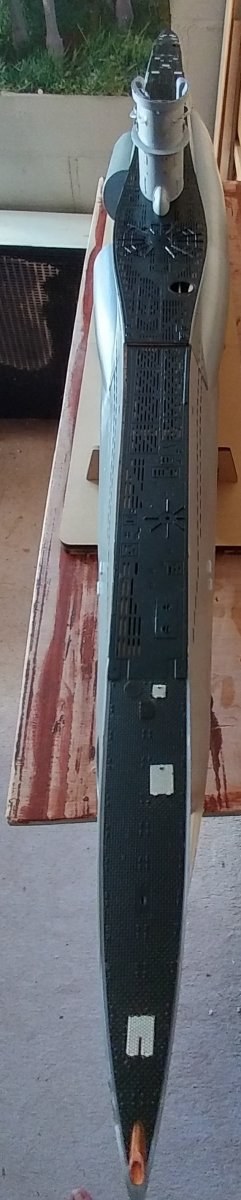 20180803_190206_HDR-1.jpg