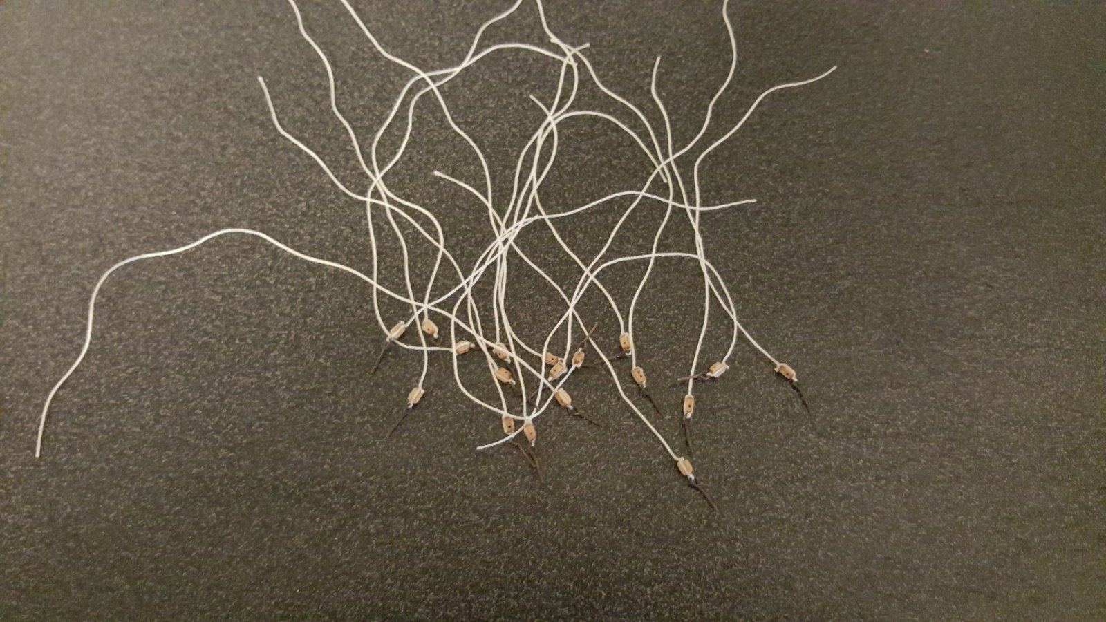 20181101_144126.jpg