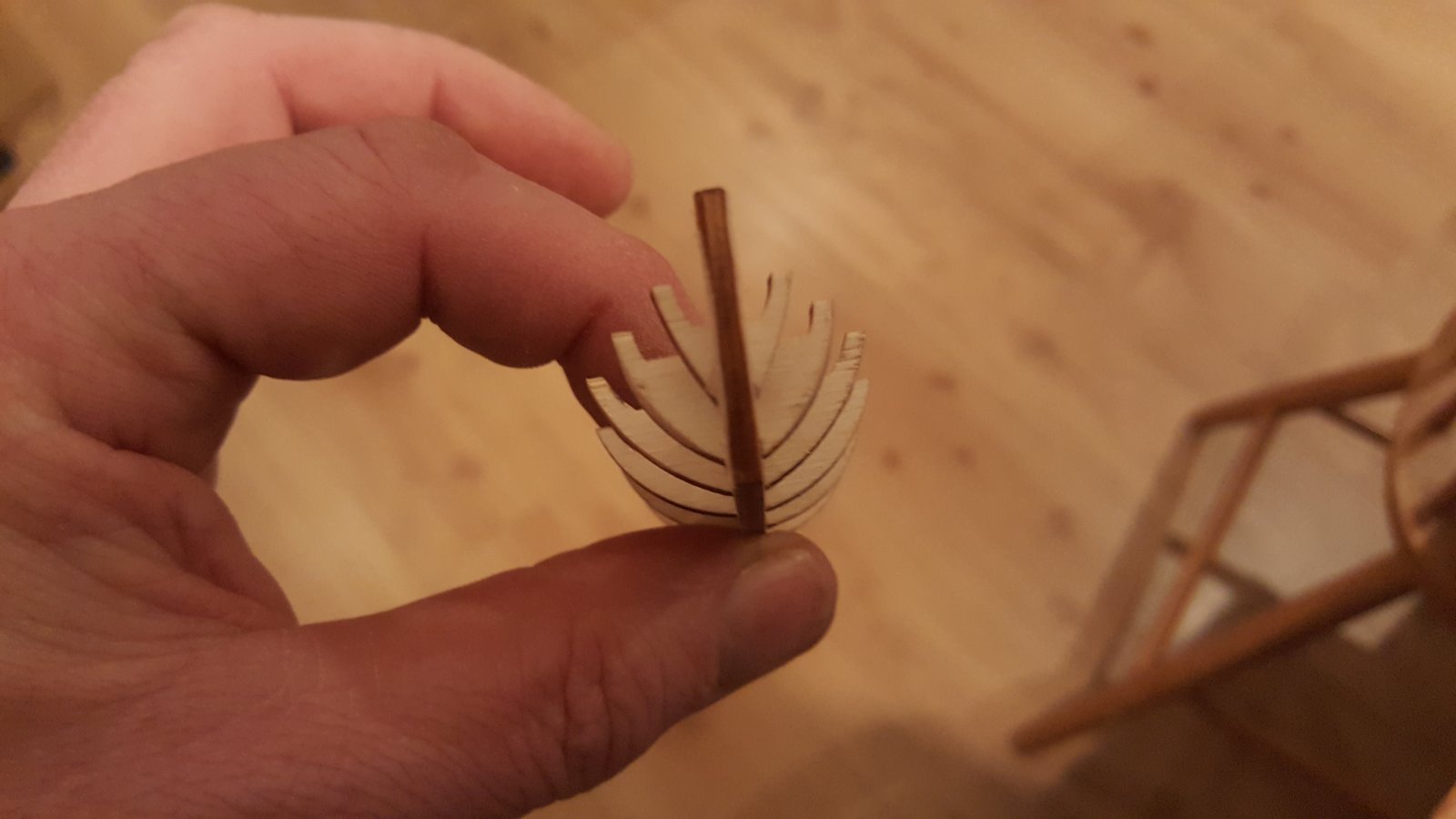 20181229_193542.jpg