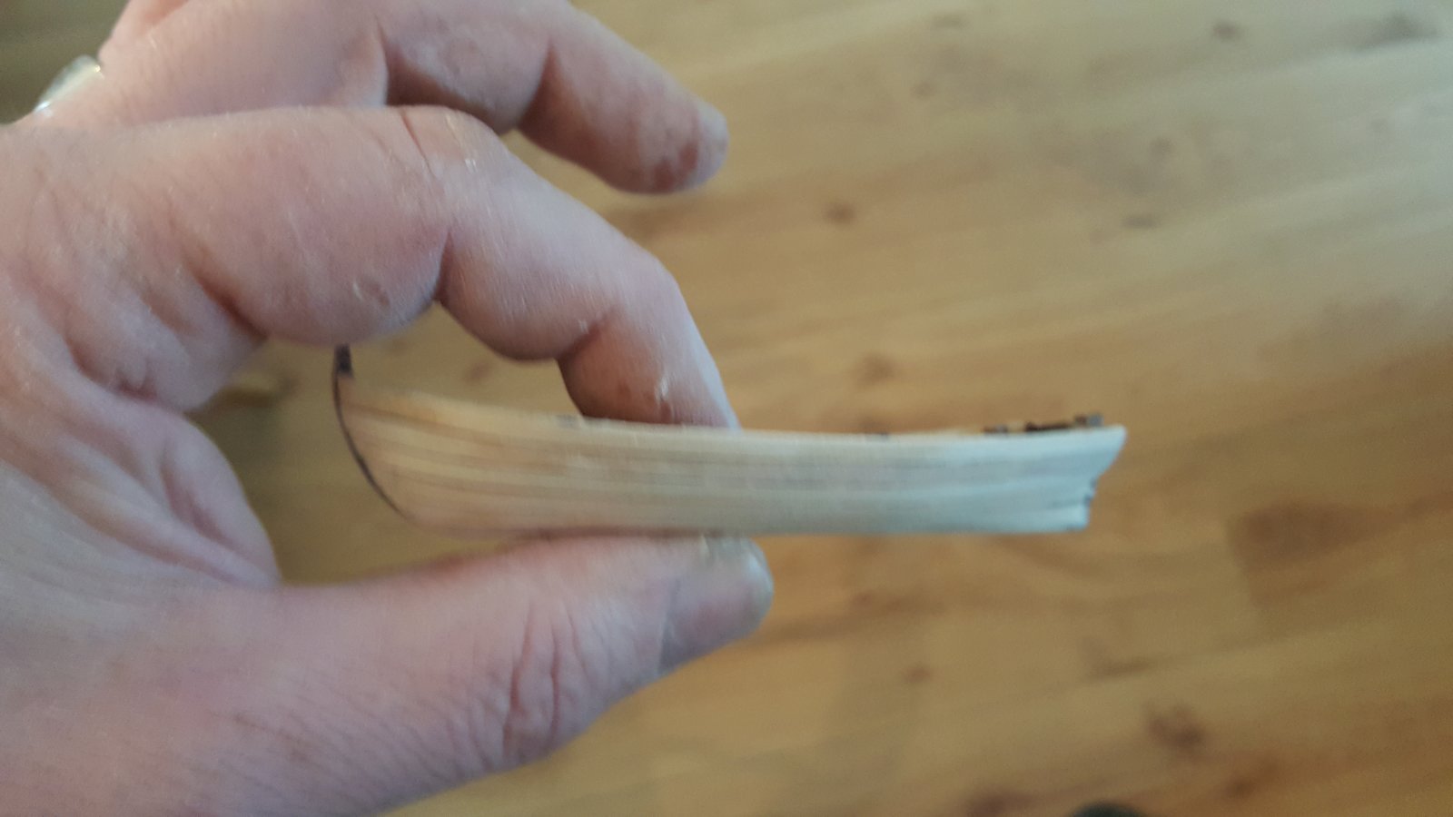 20181230_143014.jpg