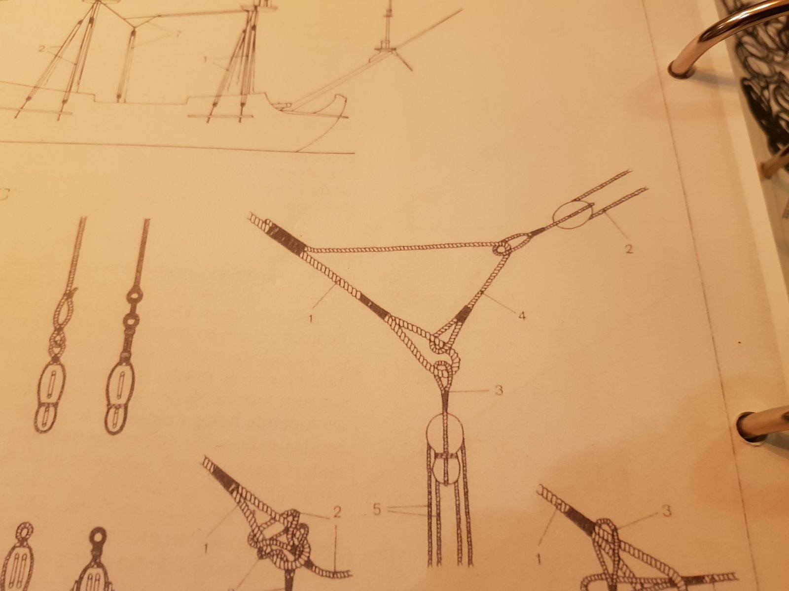 20191007_193701.jpg
