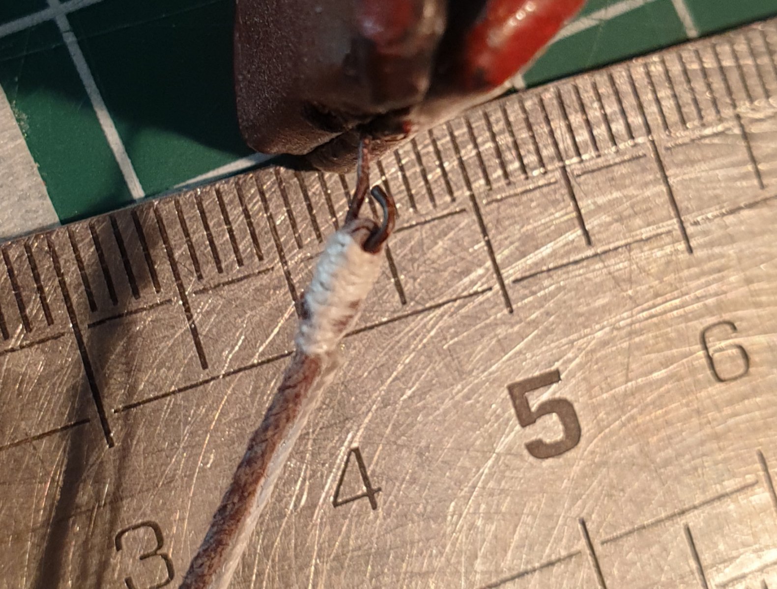 20191023_163305.jpg