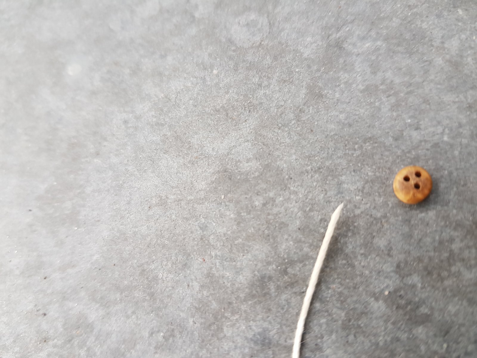 20191027_172246.jpg