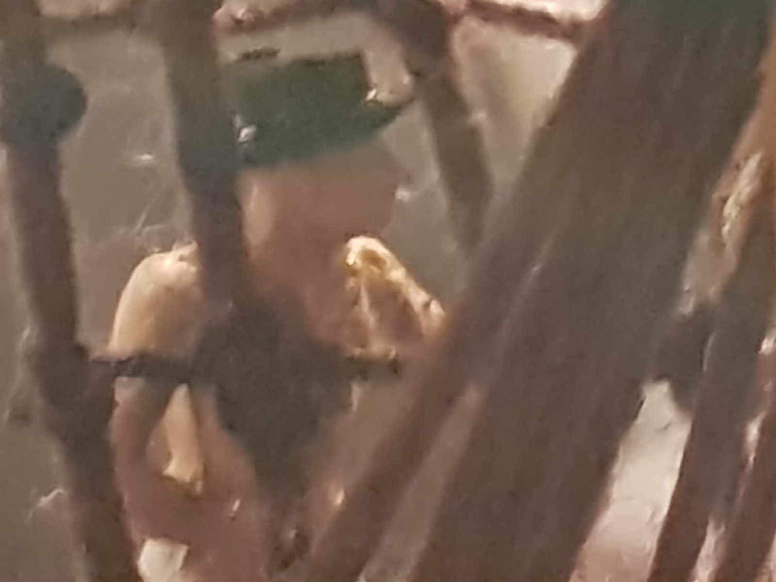 20191118_172245.jpg