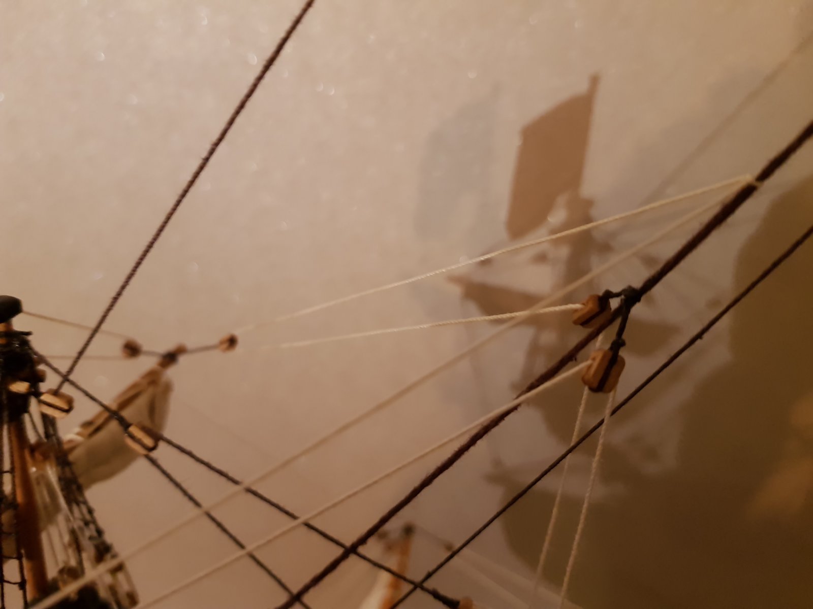 20191216_195159.jpg