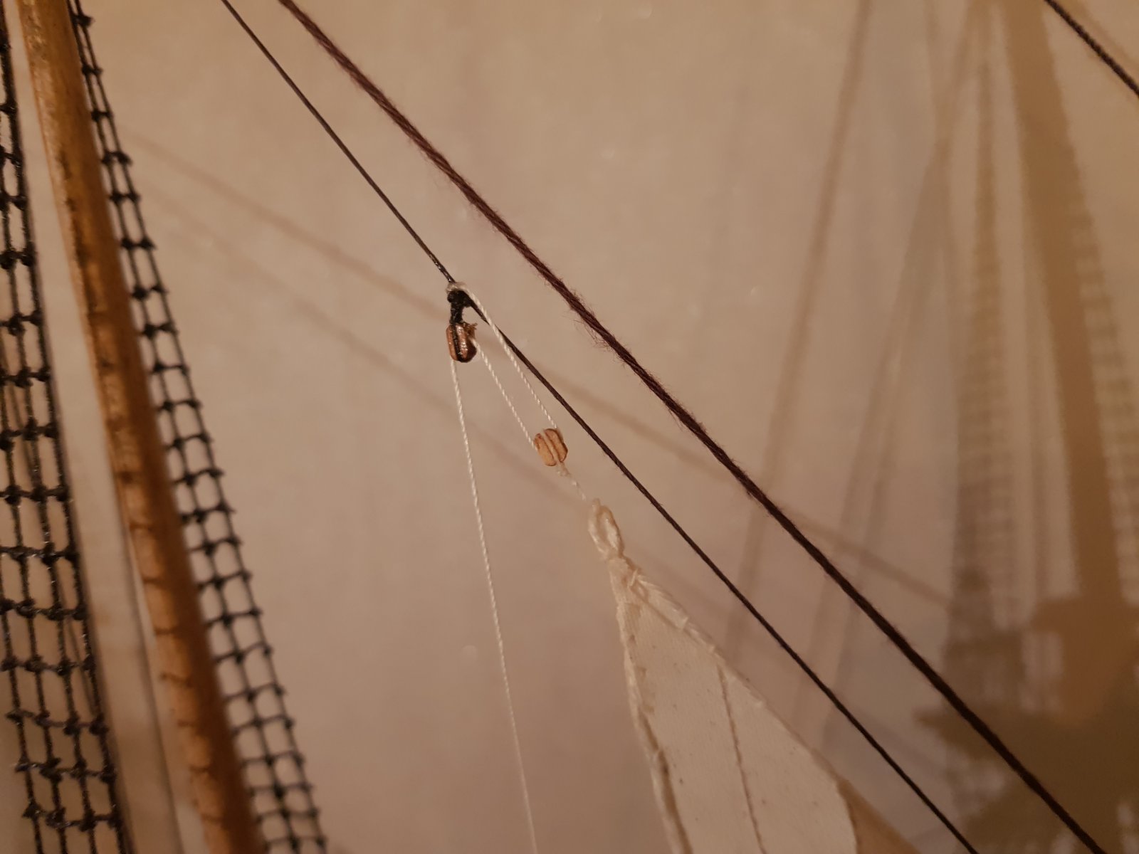 20191220_213447.jpg