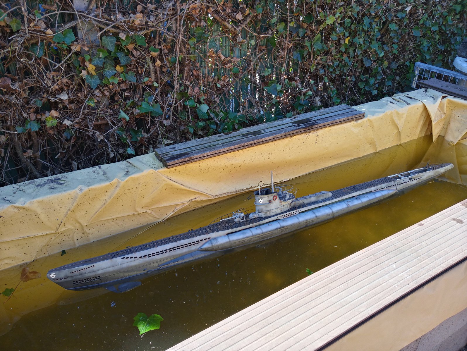 20200807_120402_HDR[1].jpg