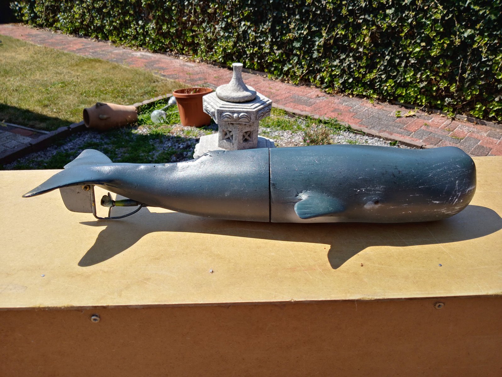 20200808_143314_HDR[1].jpg