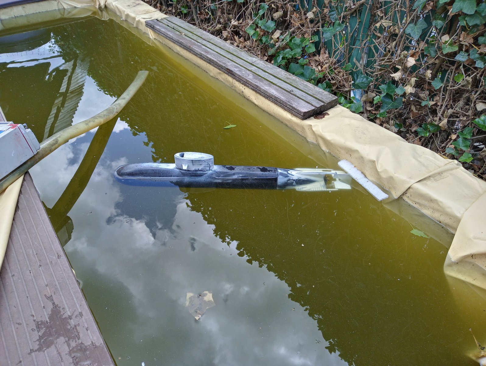 20200819_145546_HDR[1].jpg