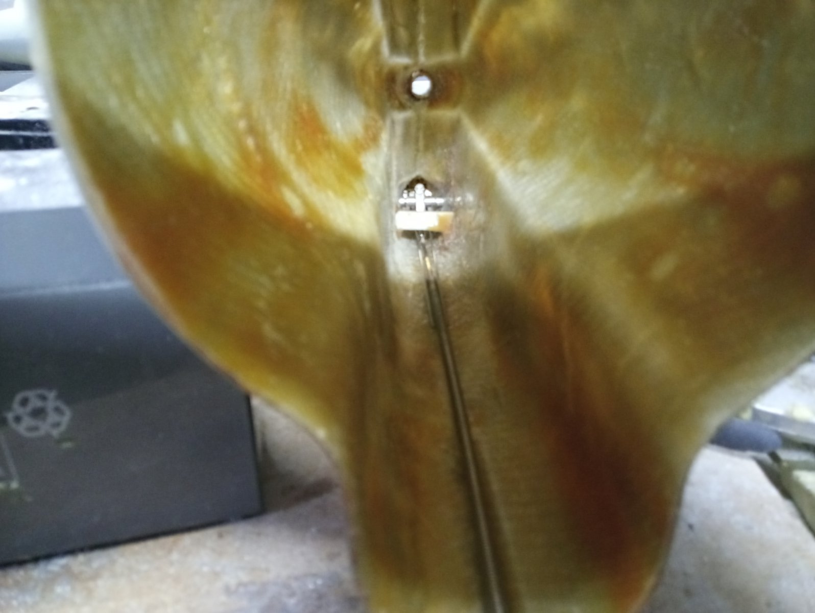 20200825_102111[1].jpg