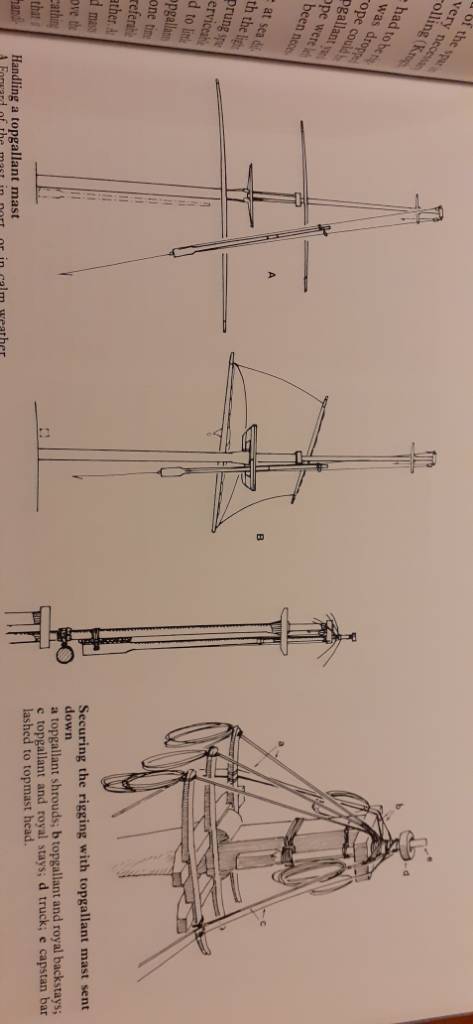 20201125_181346.jpeg