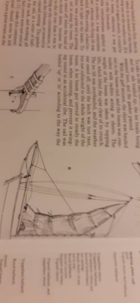 20201125_181417.jpeg