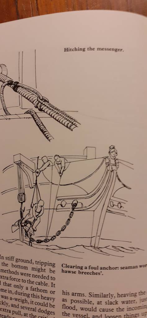 20201125_181610.jpeg