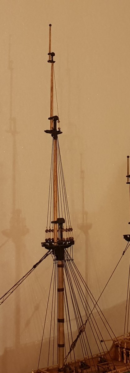 20201129_202533.jpg