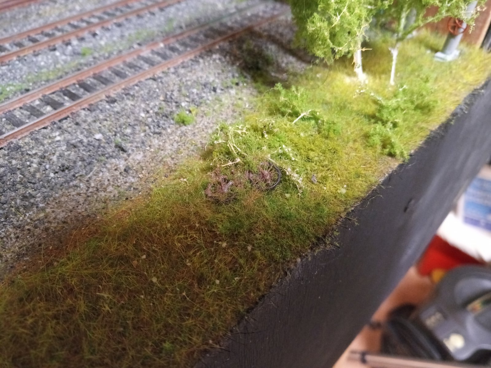 20201209_134940[1].jpg