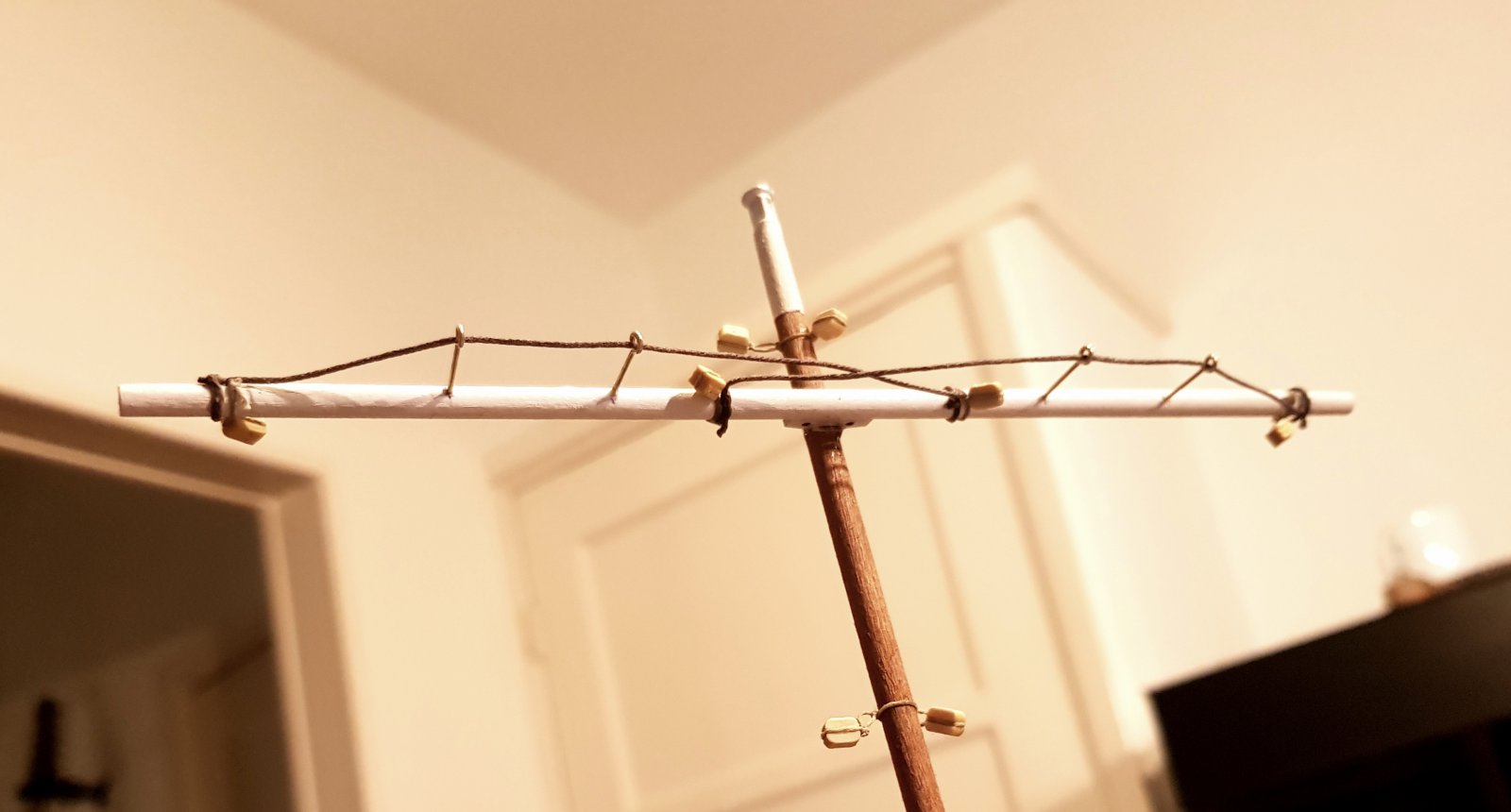 20210628_223203.jpg