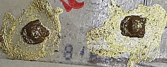 20220804_171753.jpg