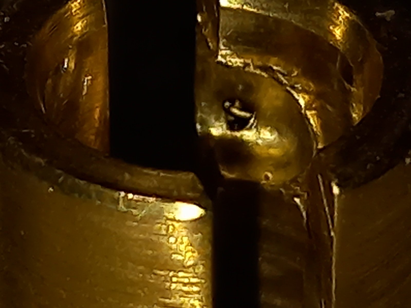 20250422_091450[1].jpg