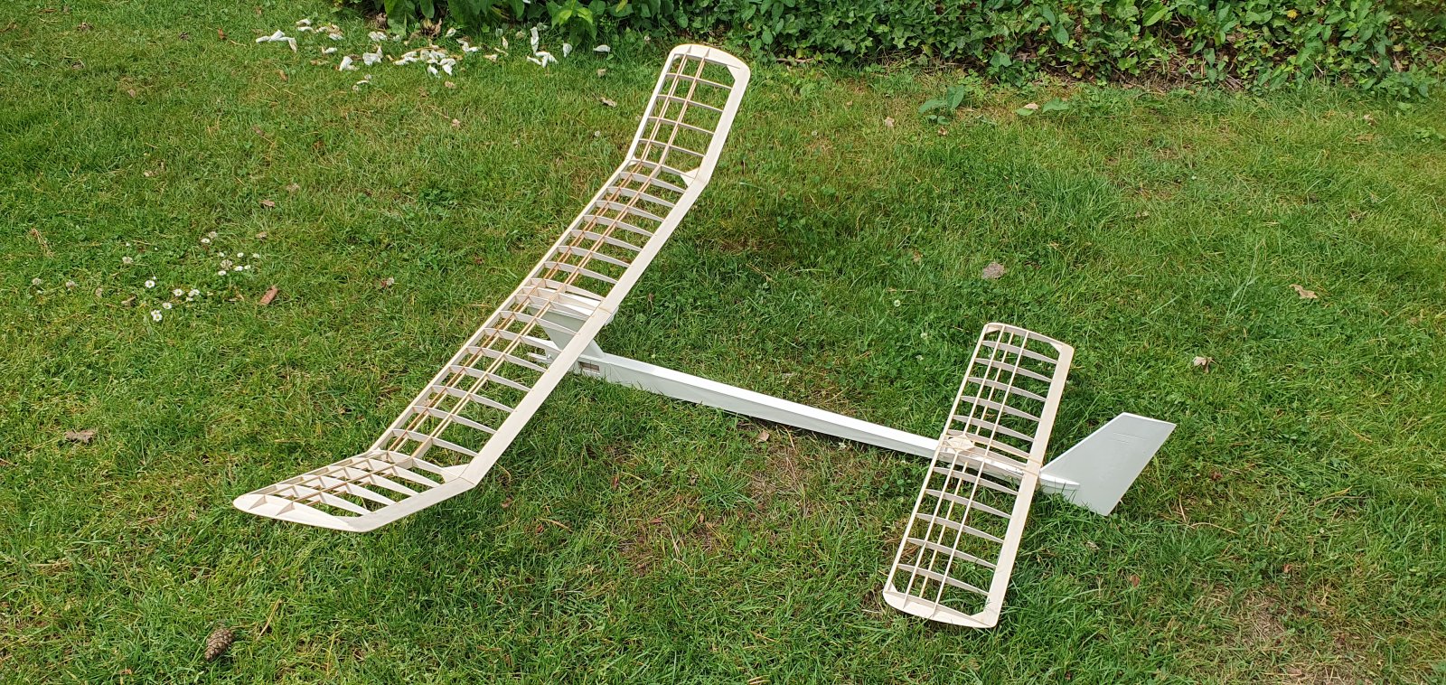 20250628_112651.jpg