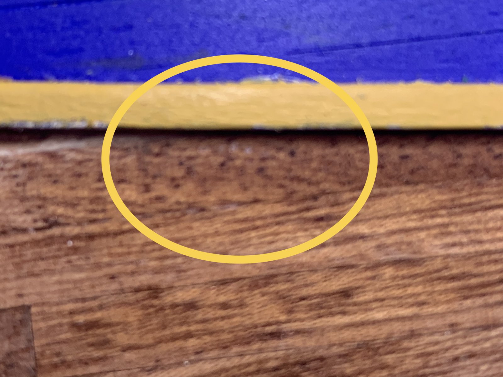 20A53169-F134-4968-BAB2-1AA8A47B9539.jpeg