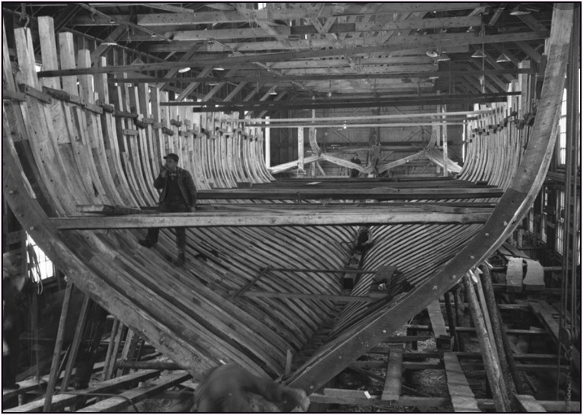 215 Beams.jpg