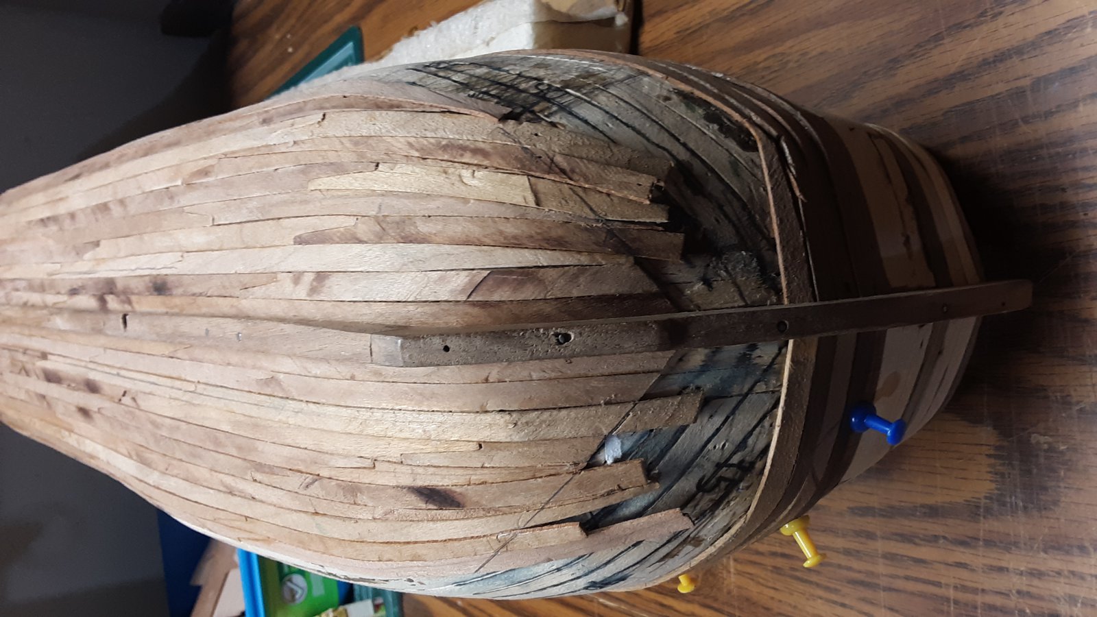 232 Fluit, Zeehaen bow 2nd plkg.jpg