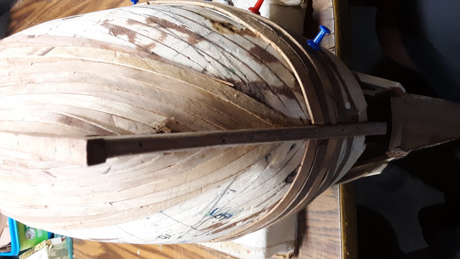 234 Fluit, Zeehaen stern 2nd plkg.jpg