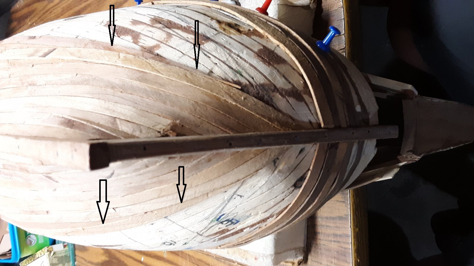 234 Fluit, Zeehaen stern 2nd plkg.jpg