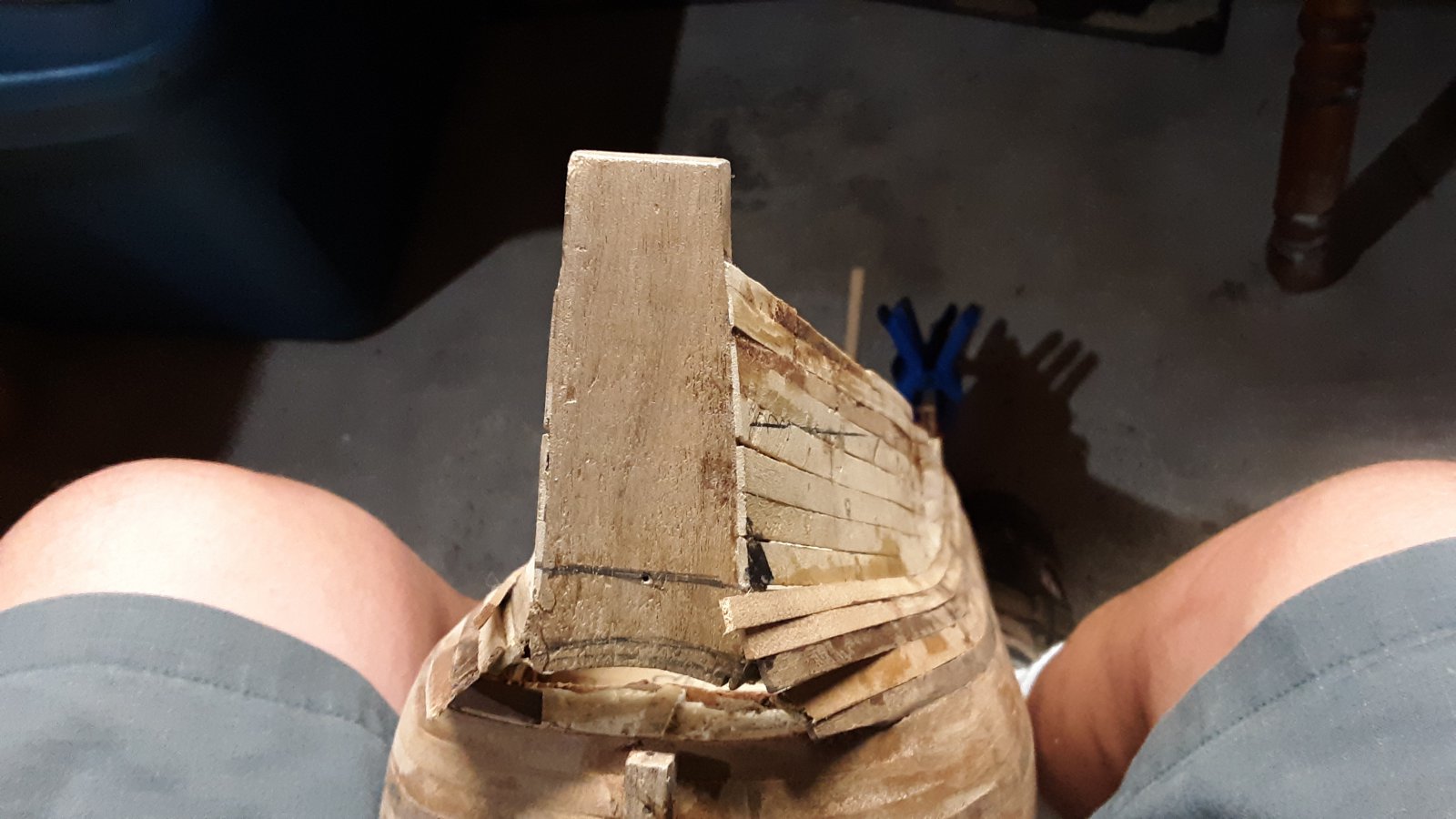 262 Fluit, Zeehaen stern right.jpg