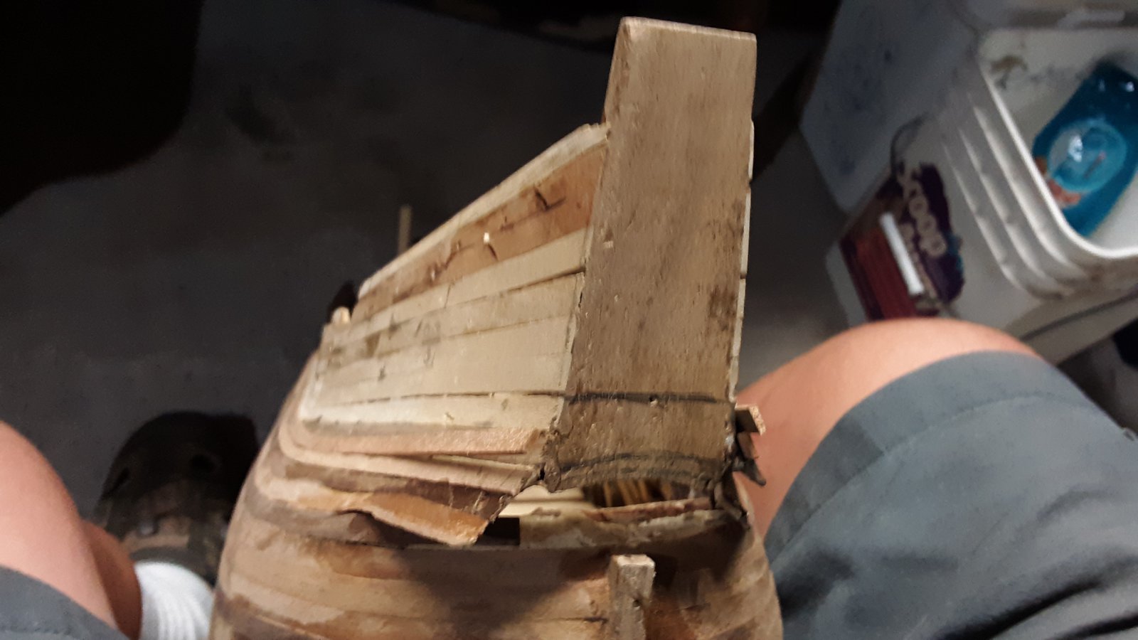 263 Fluit, Zeehaen stern left.jpg