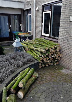 3 m3 hout.jpg