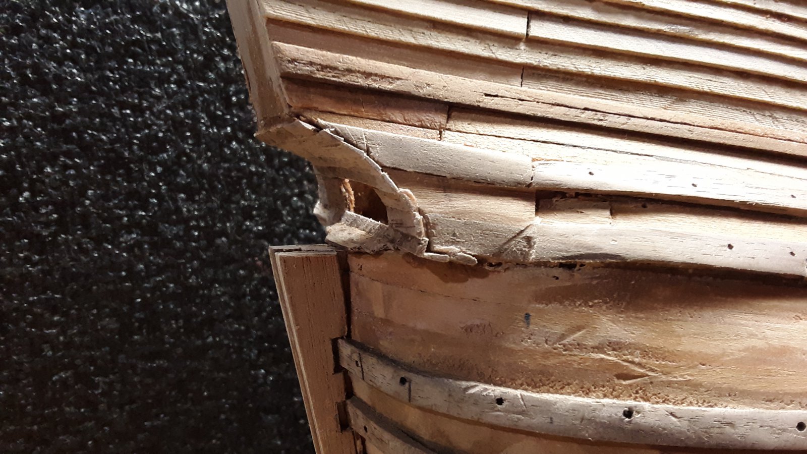 311 Fluit, Zeehaen hennegat done.jpg