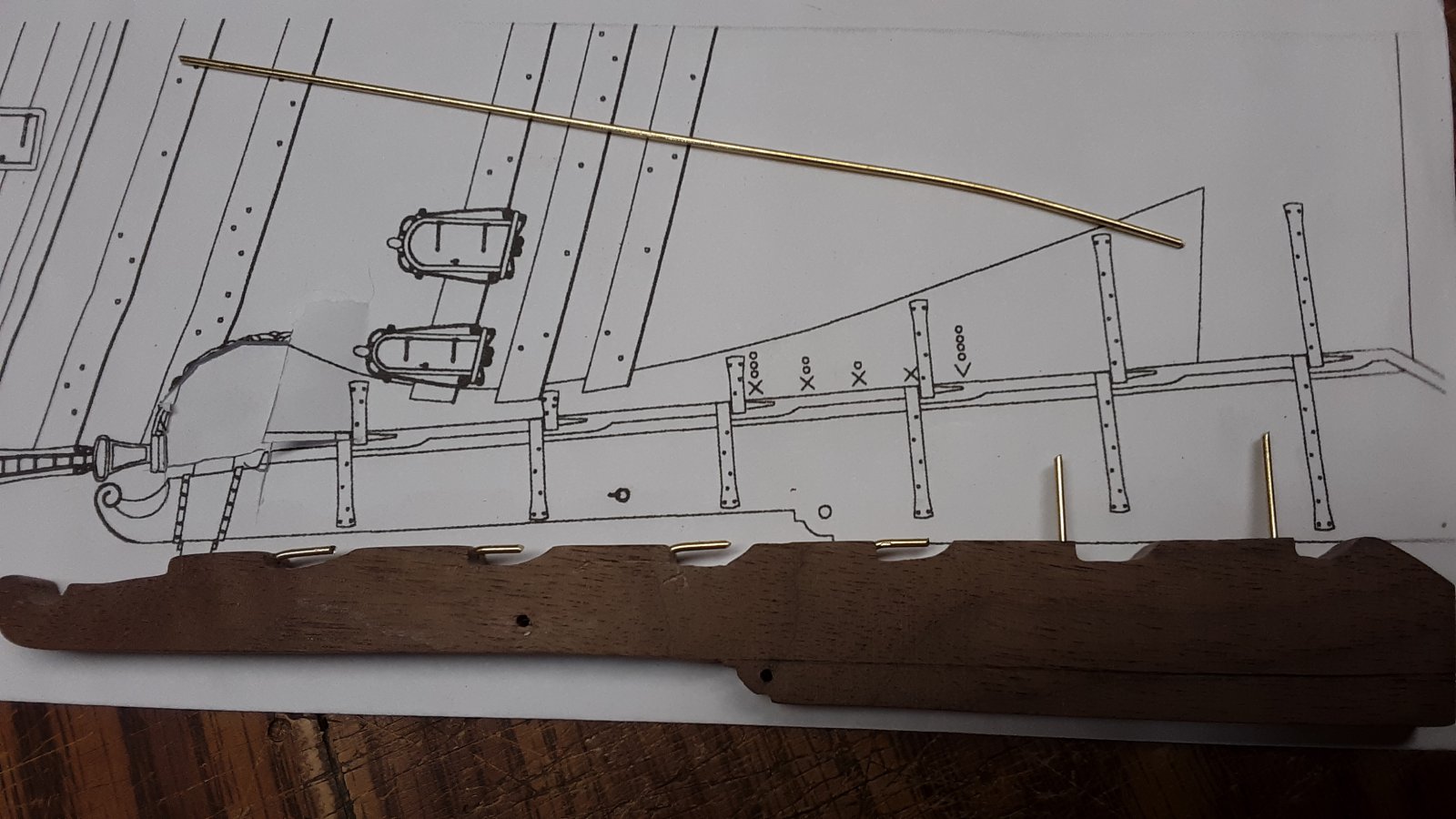 344 Fluit, Zeehaen rudder.jpg