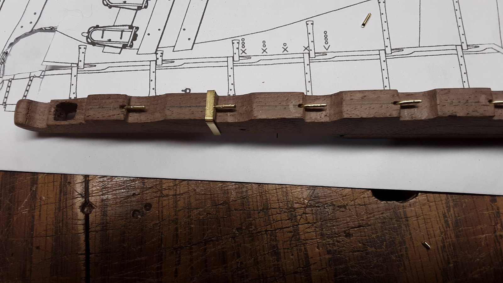 345 Fluit, Zeehaen rudder.jpg