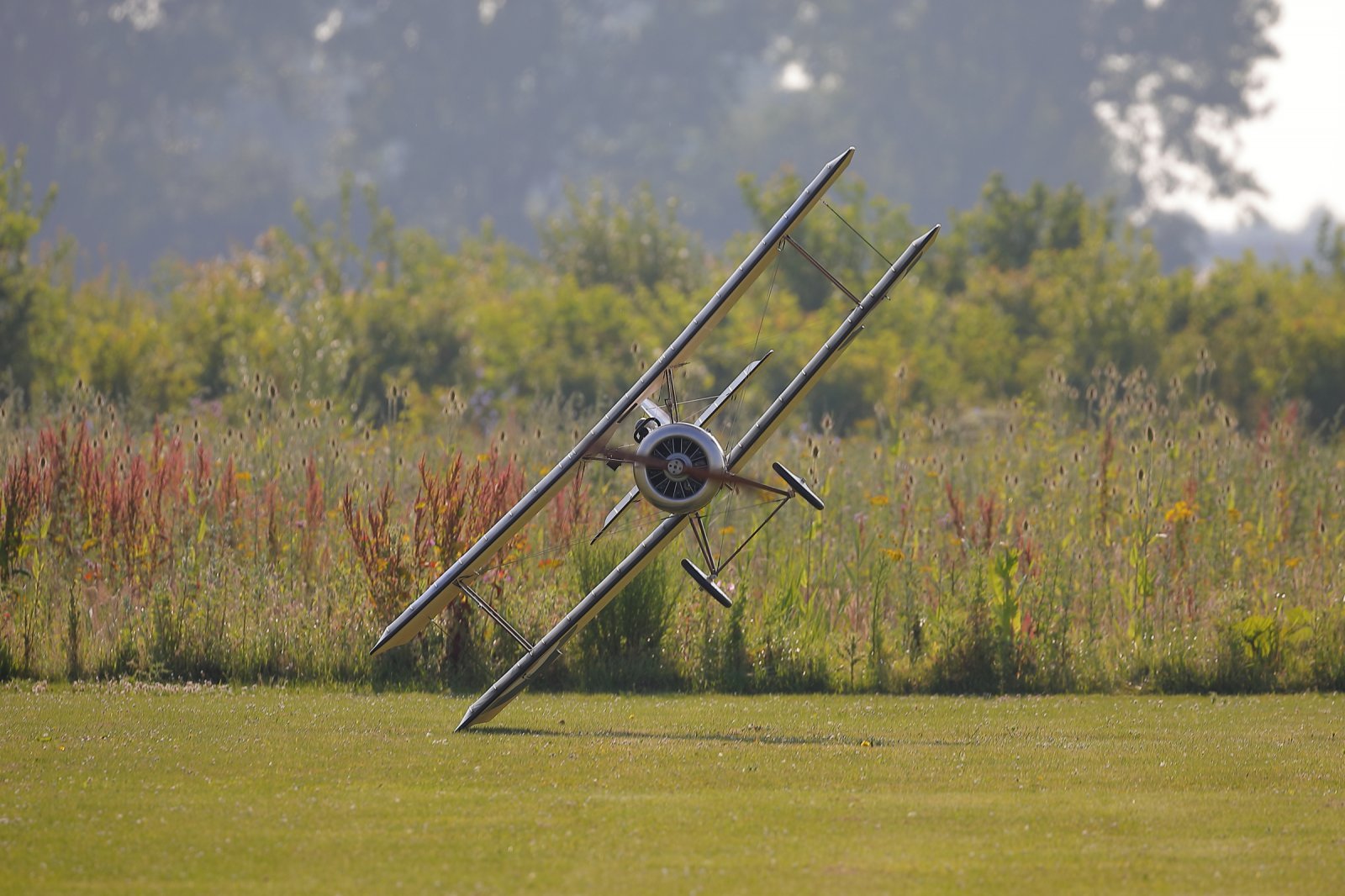 3E6A0871.JPG