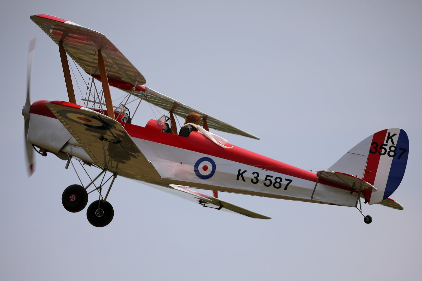 3E6A1382.JPG