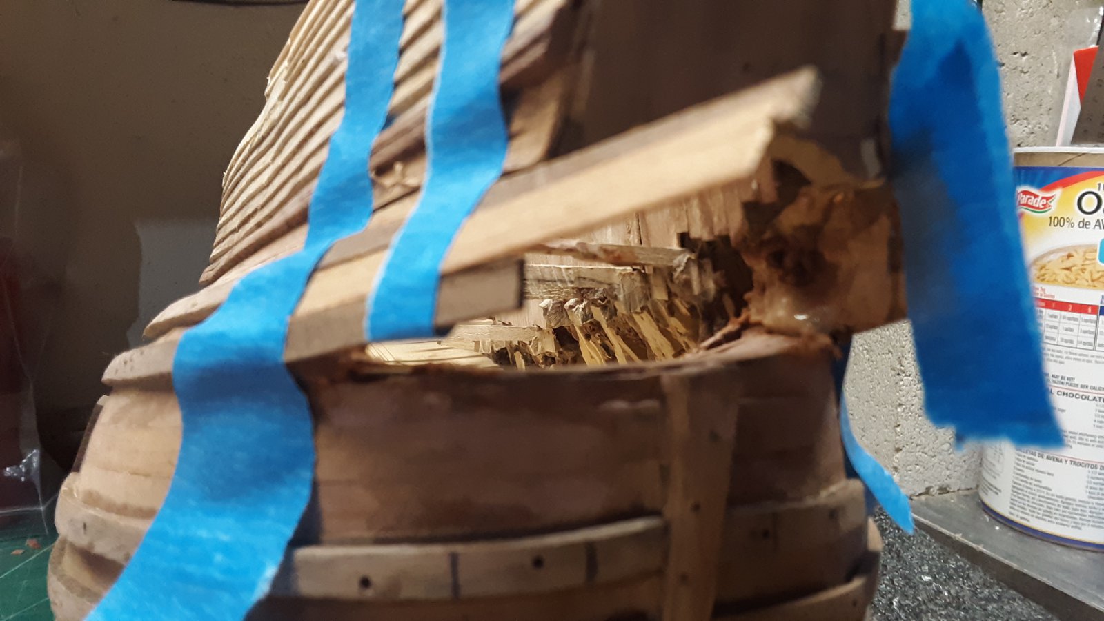 4d4 Fluit, Zeehaen hennegat re-do.jpg