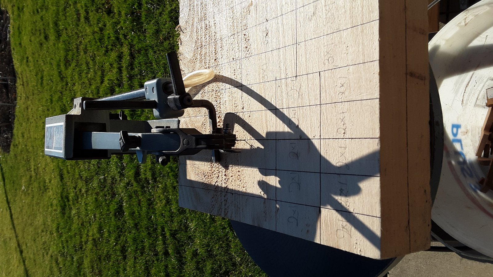 50x30x5cm pieces of linden.jpg