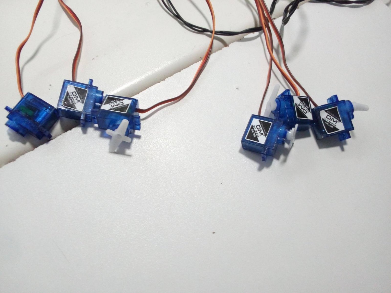 66719414_3312746848739371_2876826381134594048_n.jpg