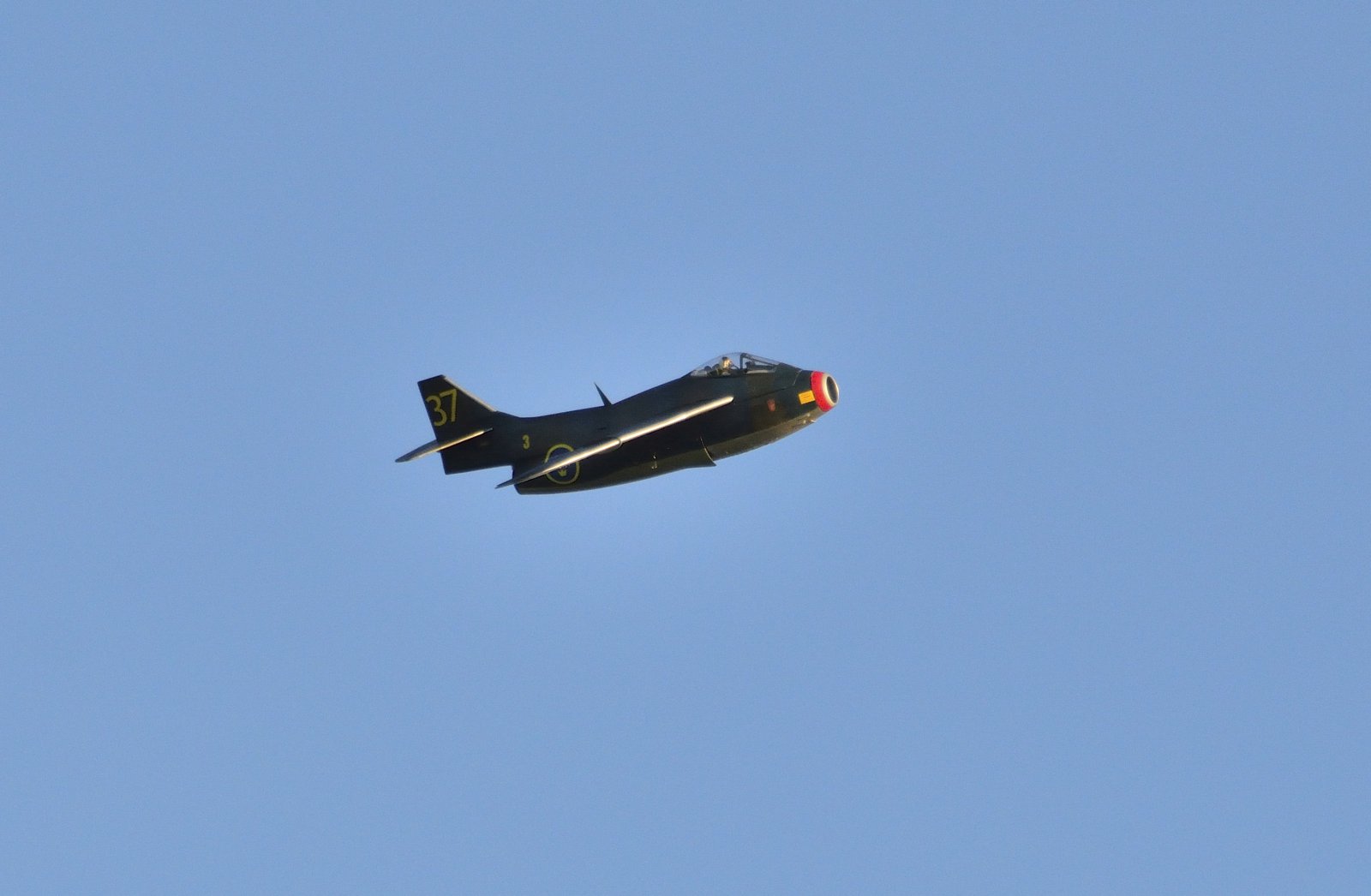_DSC2784.JPG