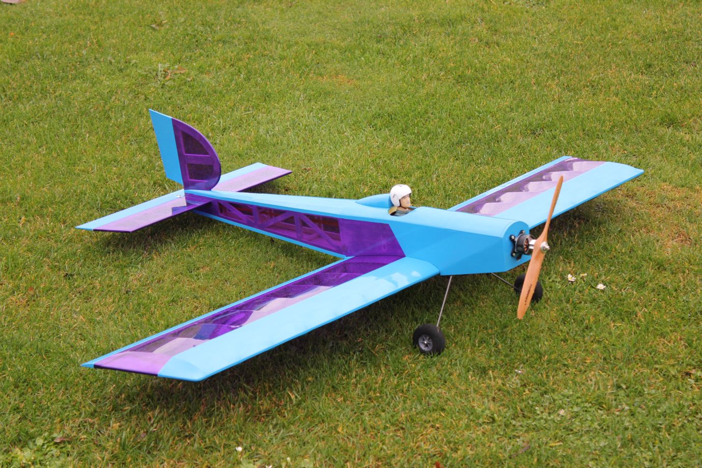 Box Fly 2018L.jpg