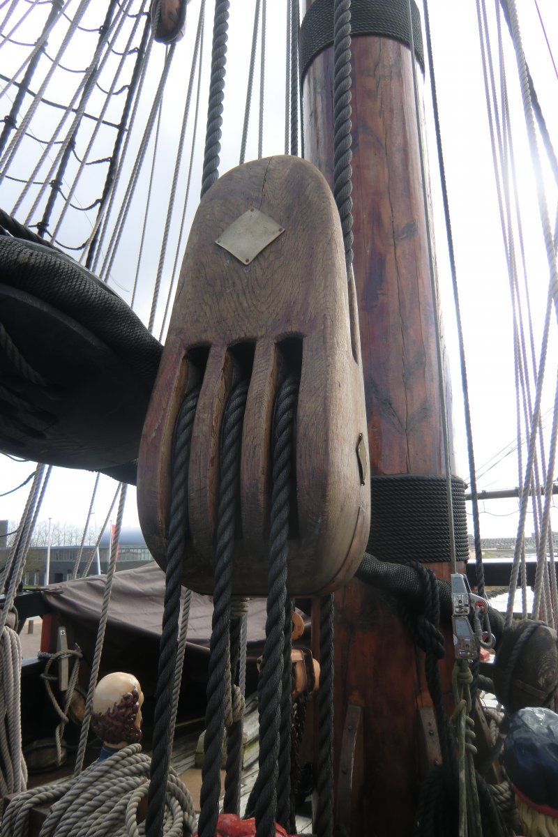 CIMG8461.JPG