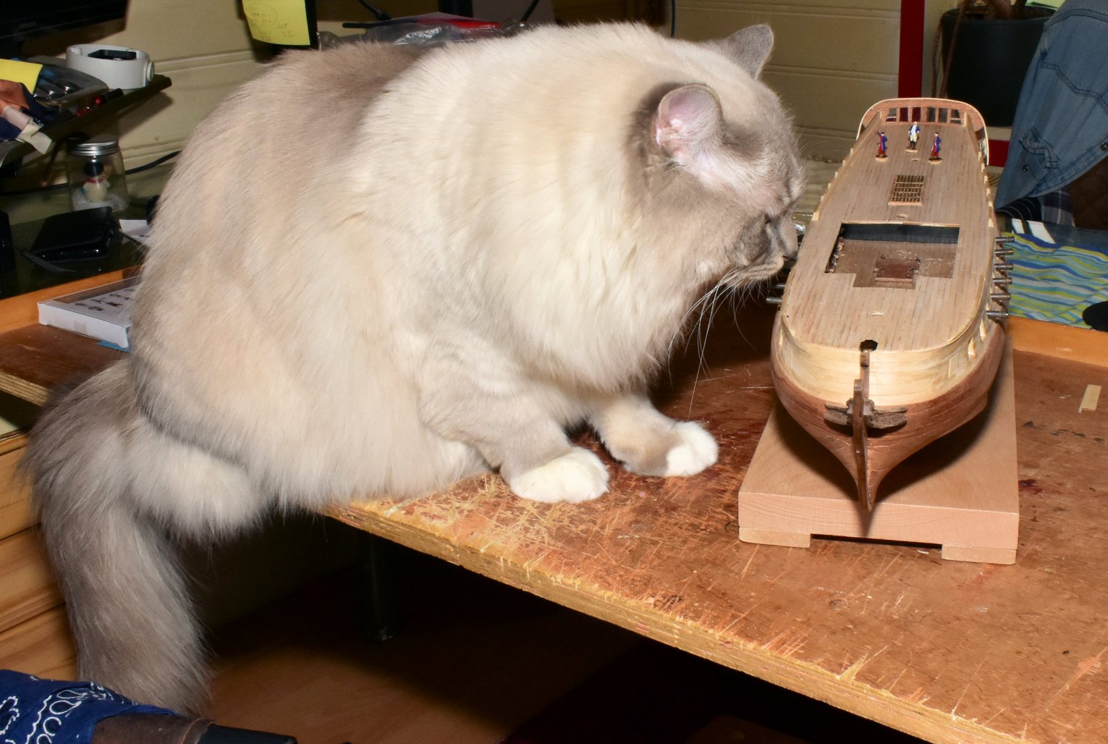 DSC_0048.JPG