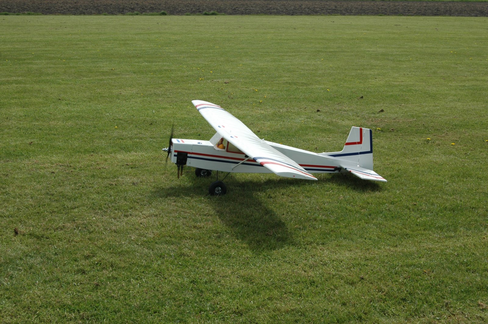 DSC_0474.jpg