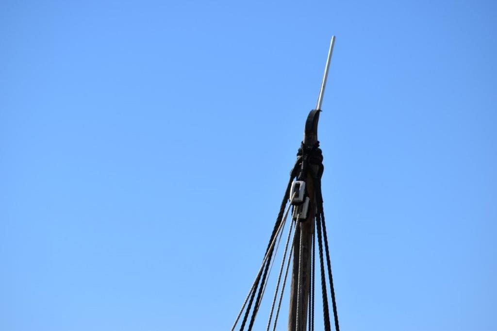 DSC_0502.JPG